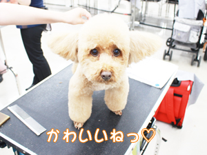 かわいいねって言ってみました☆